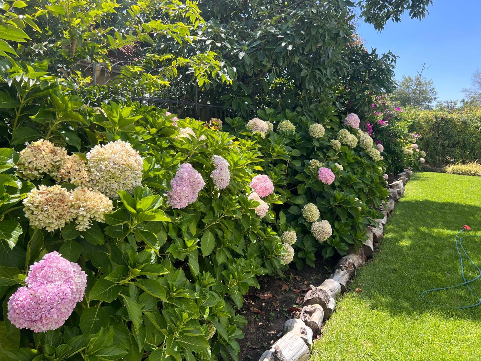 Luxery Gem In Stellenbosch Apartment ภายนอก รูปภาพ