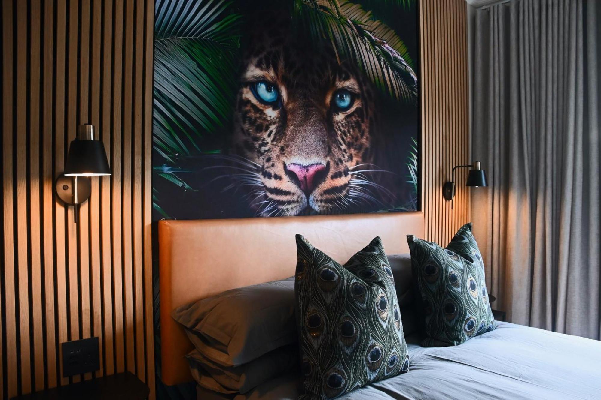 Luxery Gem In Stellenbosch Apartment ภายนอก รูปภาพ